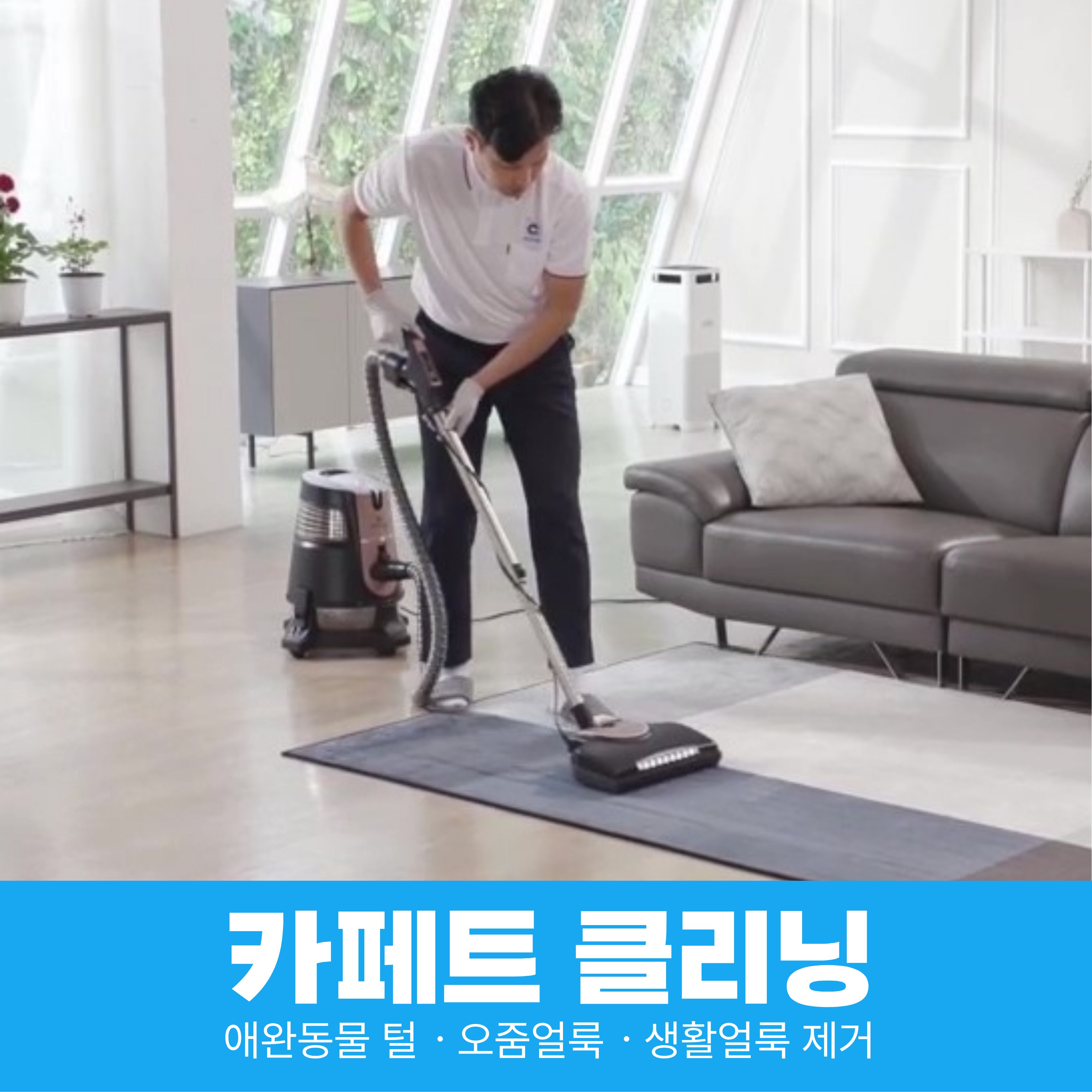 [카페트 케어] 전국서비스 카페트 클리닝 반려동물털 오줌얼룩 제거 방문세탁
