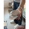 https://bchium.com/data/itemuse/thumb-IMG_3333_100x100.jpg